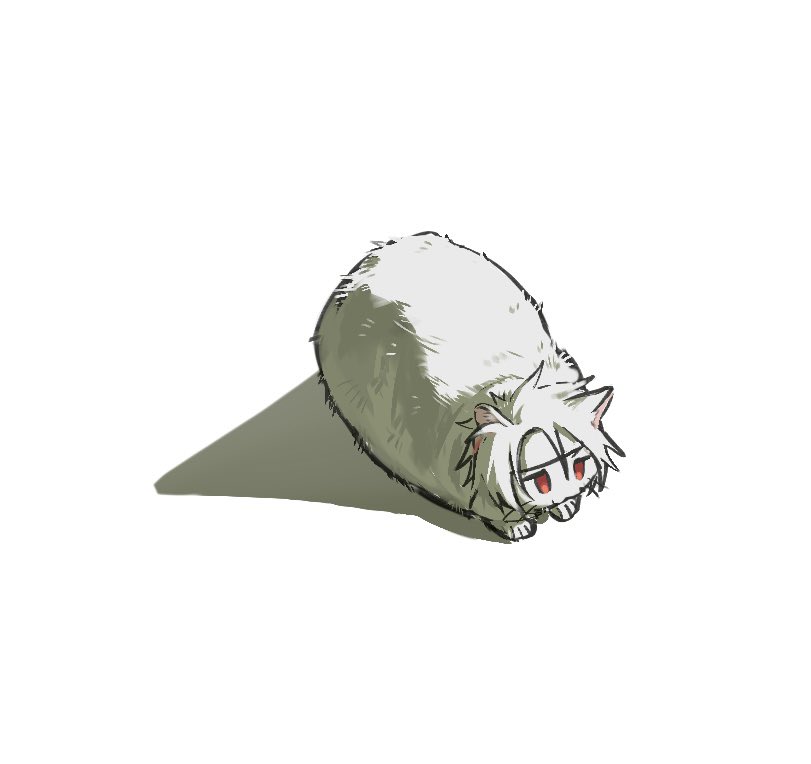 50_MIRA's tweet photo. 저희집 고양이입니다 https://t.co/k6QBPS6KYz