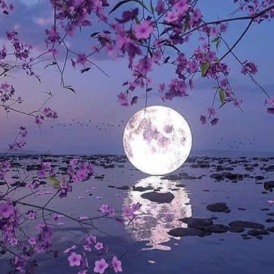 Ai1ddfB's tweet photo. #صورة_جديدة_للملف_الشخصي https://t.co/k0aiW4dK47
