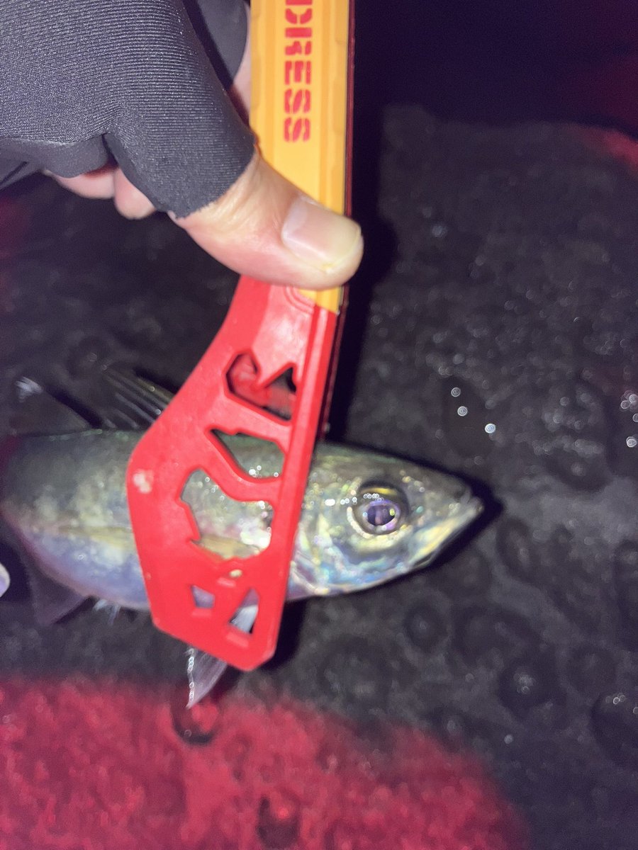 ライ　lie tweet media