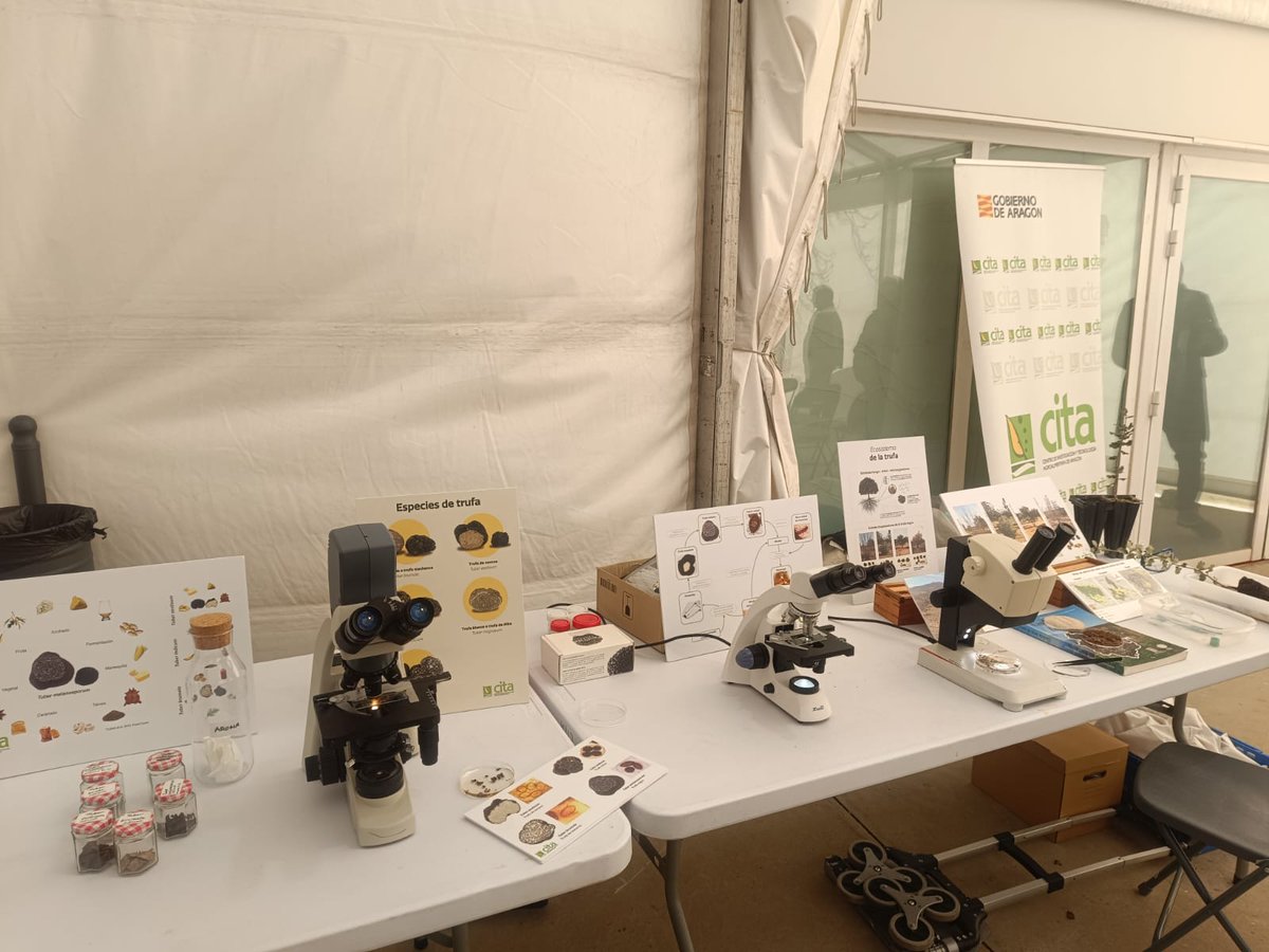 CITA Aragón tweet media