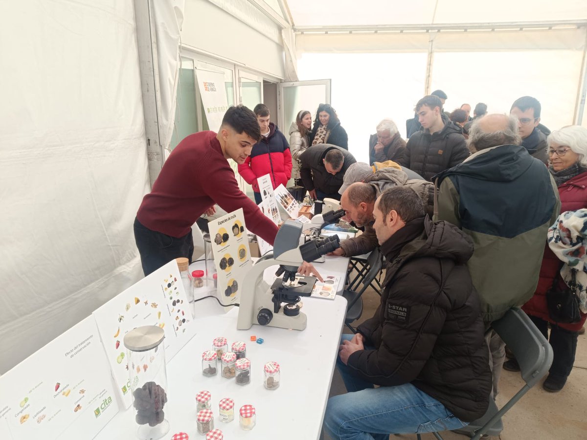 CITA Aragón tweet media