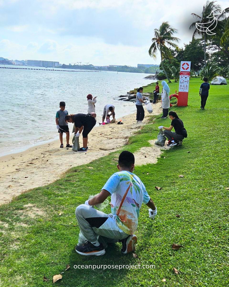 OceanPurposeProject tweet media