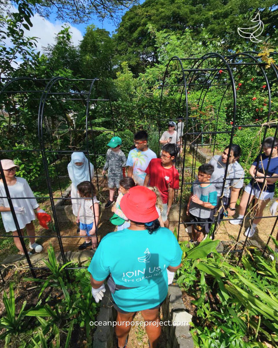 OceanPurposeProject tweet media