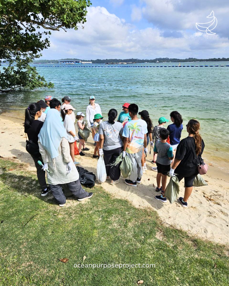 OceanPurposeProject tweet media