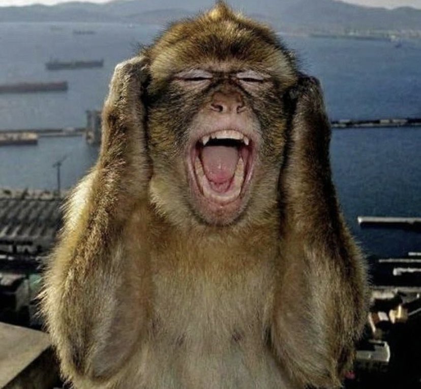 tam halini görmek için paylaşıma tıklayın