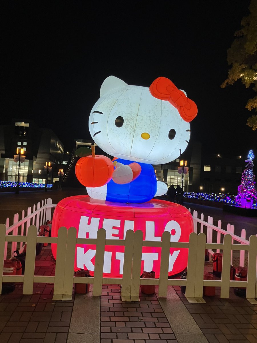 とかげぽーん ᵕ̈ tweet media