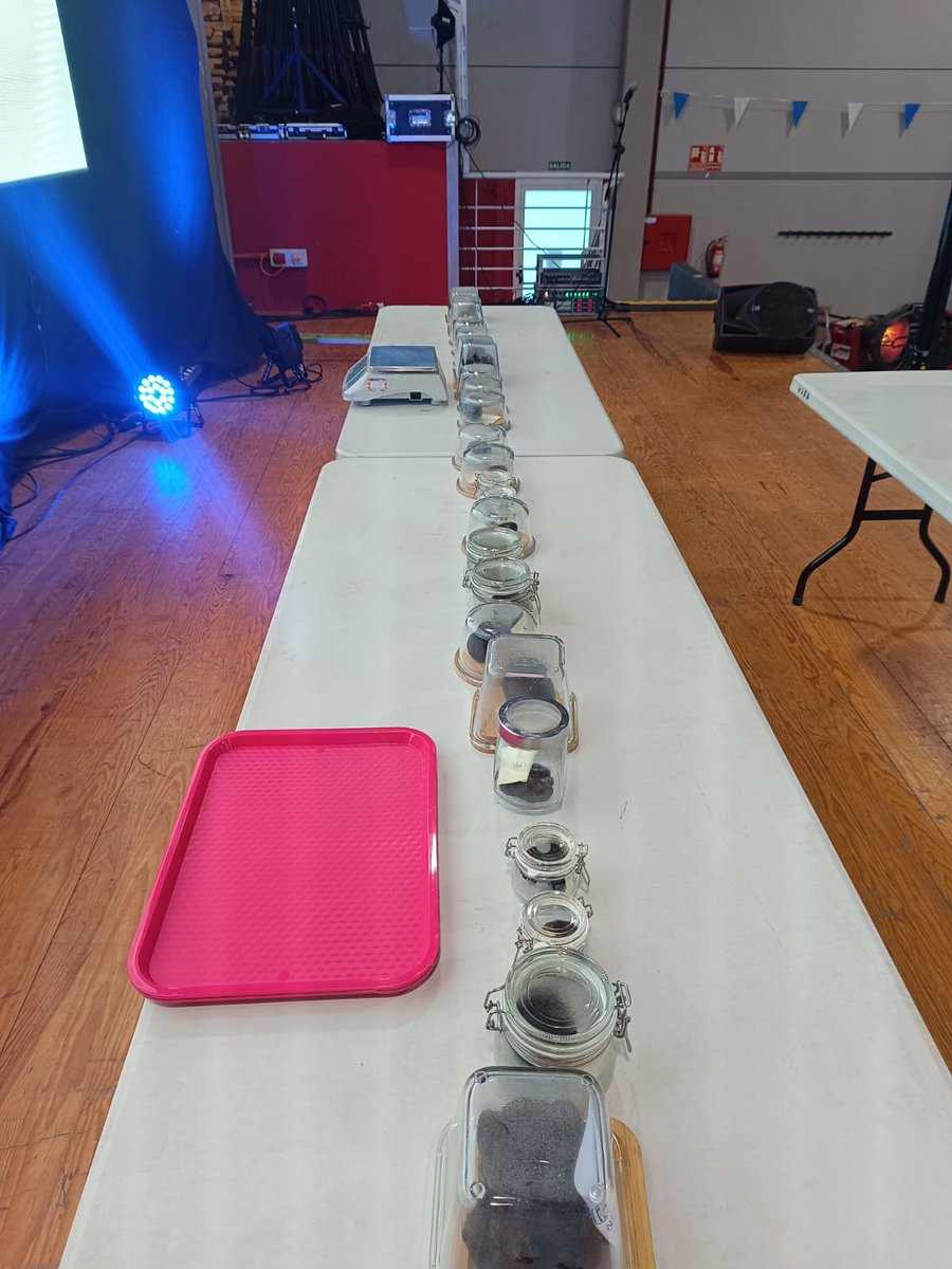 CITA Aragón tweet media