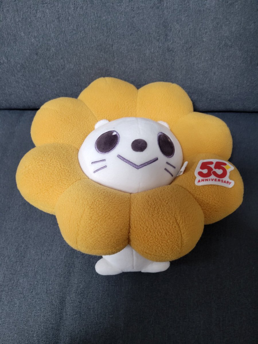 まりも (@l3rWyJ3ujPmRCyj) / Posts / X