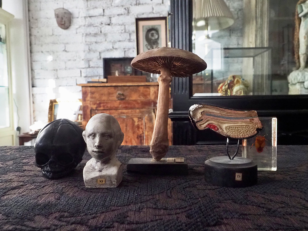 ✵雨花✵🕯️🌙 (@uka_shimako) / Posts / X