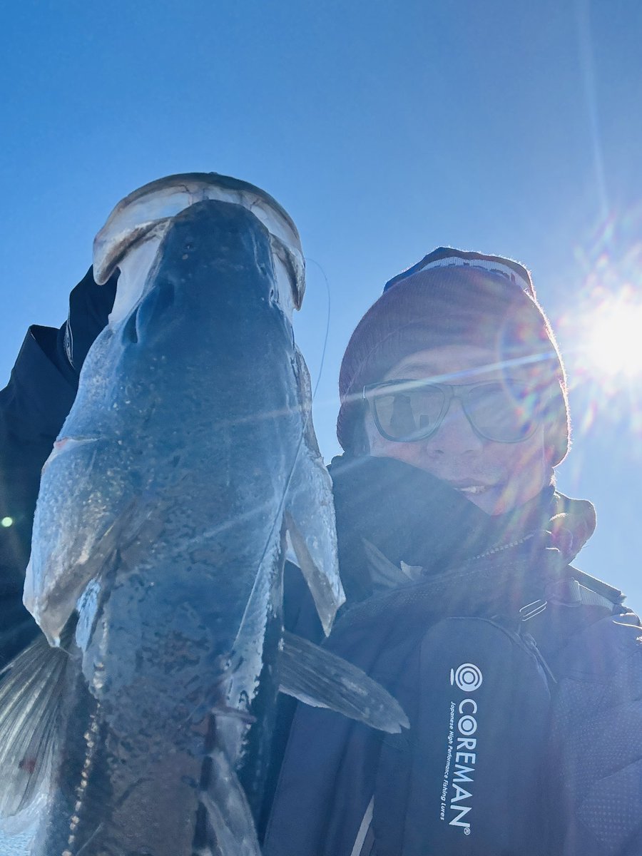 TacaFishing's tweet photo. やっとこさ初魚🐟

めちゃ渋で厳しい中なんとか喰わせた一本🎣

しかも最大いただきました⤴️

⚓️シーバス:54cm〜66cm・0尾〜1尾
🎉最大:東京都　たか@Nomanangler様✨ https://t.co/KmYxlMtuvy