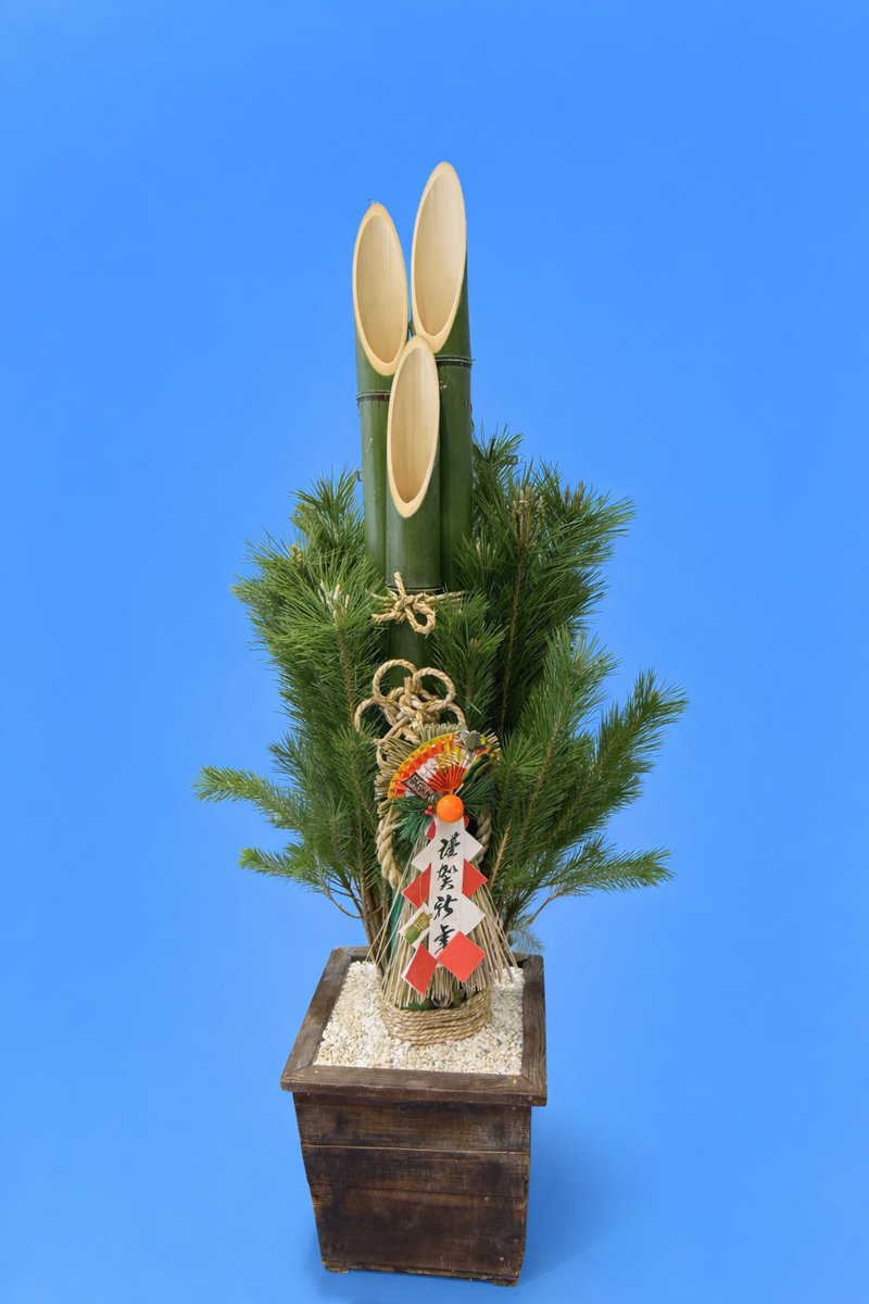 □ 【Japan Now-63】 Although opportunities to see them are