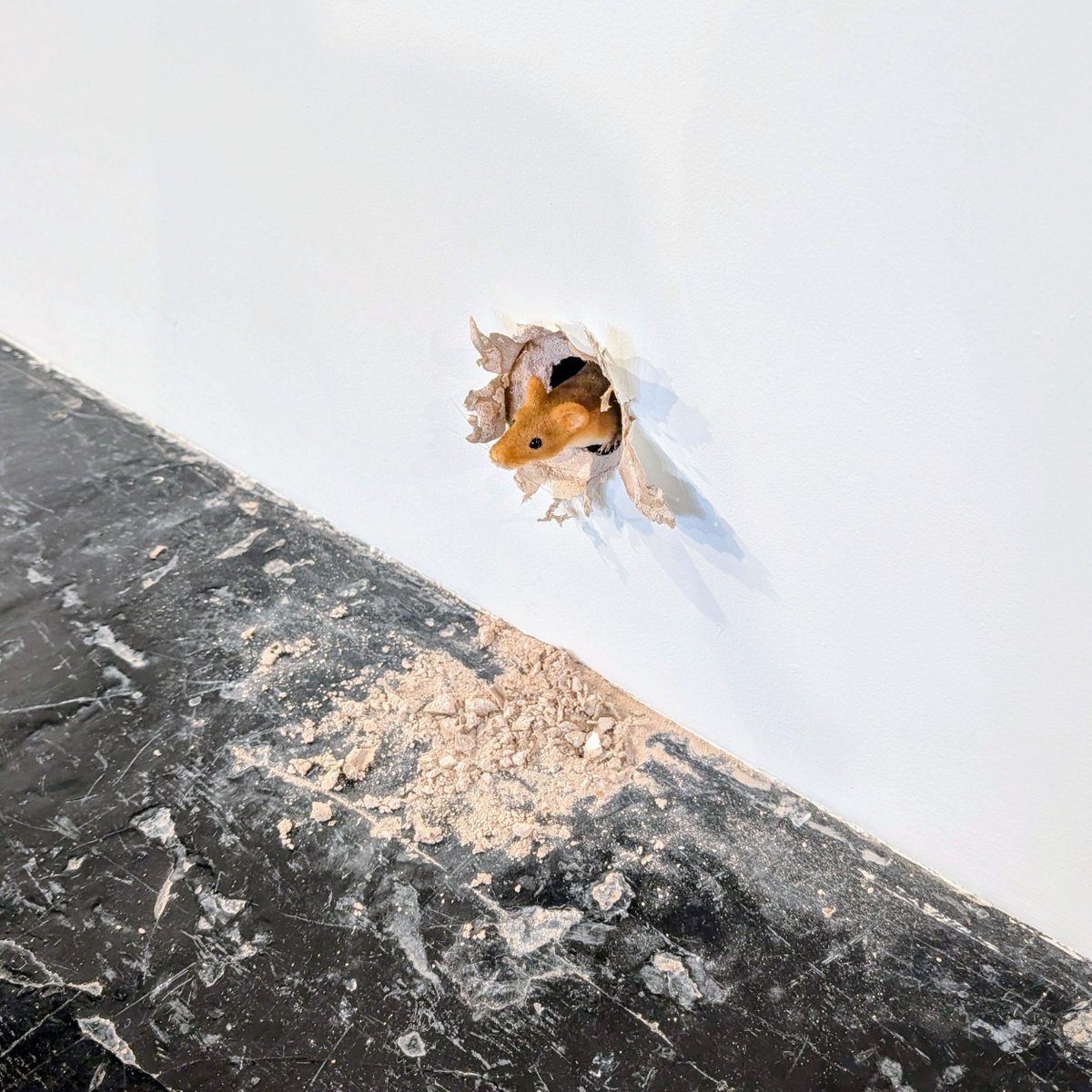 Tabish Khan tweet media