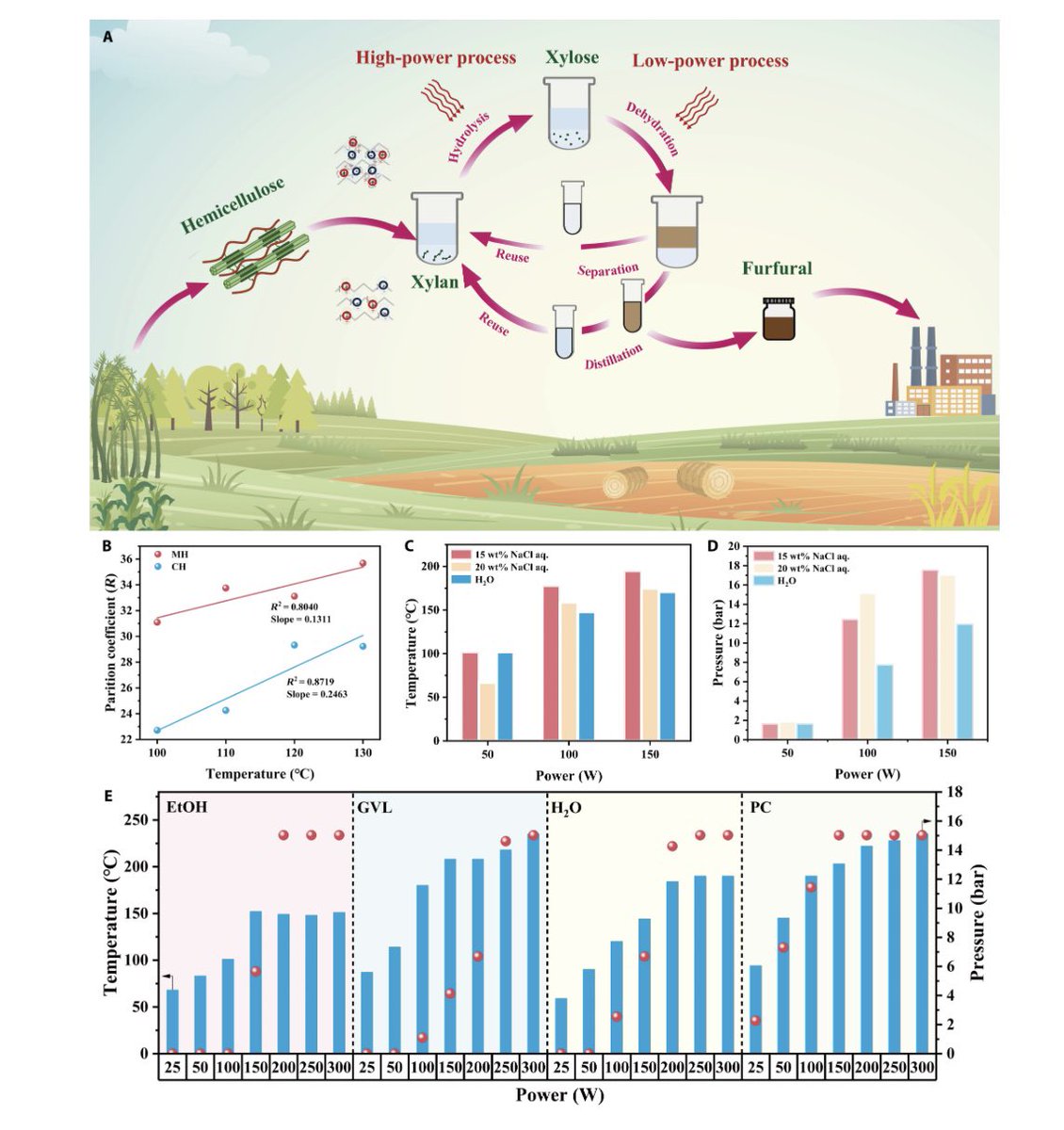 Research_Jrnl's tweet image. Microwave-Derived Hierarchic Liquefaction of Pentose for Furfural Production. #GreenChemistry #BiomassConversion #Furfural #ChemicalEngineering #SustainableProcesses #OpenAccess doi.org/10.34133/resea…