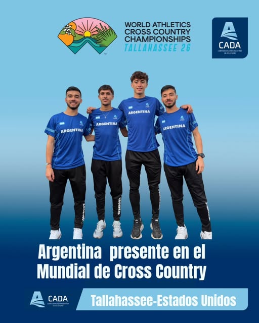 PatryCode's tweet image. 