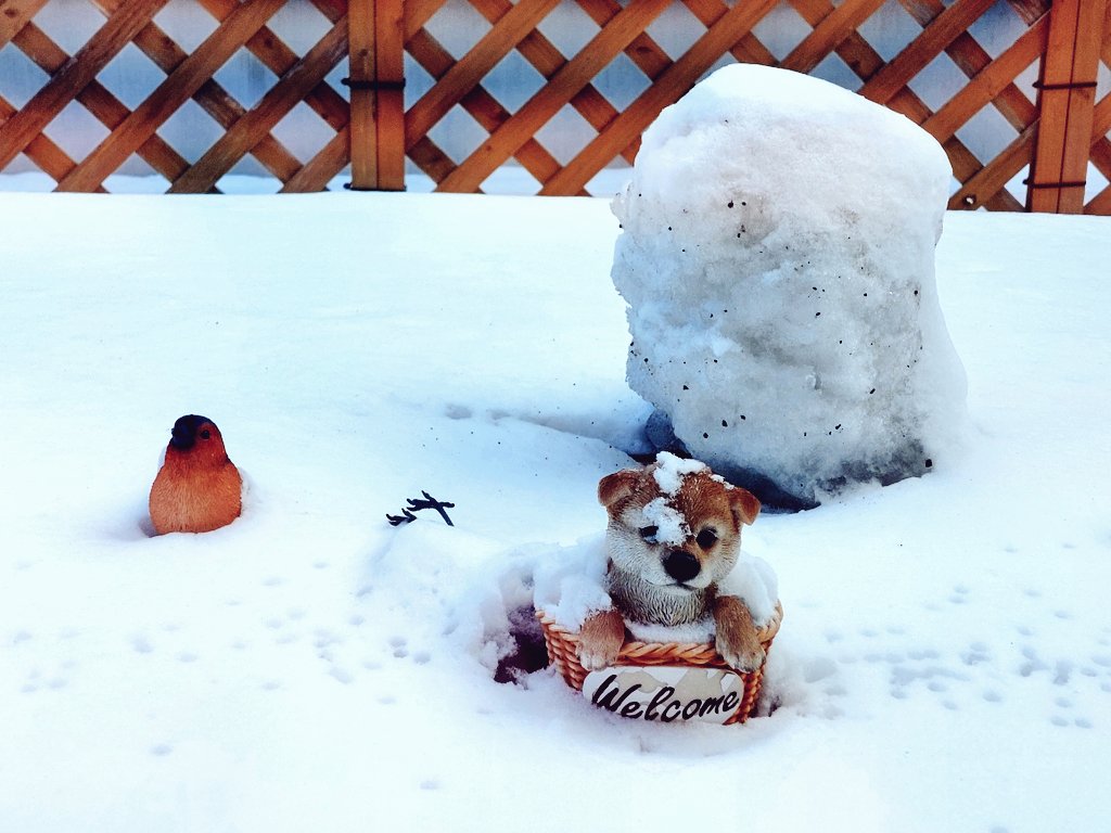 ゆきだるまビフォーアフター☃️