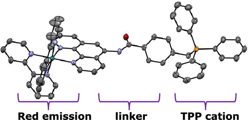 bhkenlo's tweet image. Synthesis, Photophysical and TD-DFT Evaluation of Triphenylphosphonium-Labeled Ru(II) and Ir(III) Luminophores | Inorganic Chemistry pubs.acs.org/doi/10.1021/ac… Pope and co-workers @InorgChem #ruthenium #iridium #TPP #MLCT #LLCT #red_phosphorescence #TDDFT