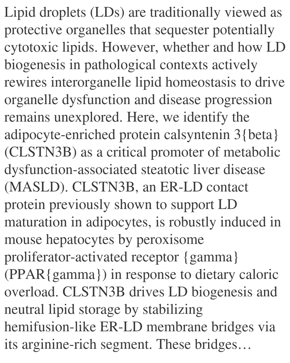 WFC's tweet image. Interorganelle competition for linoleic acid underlies steatotic liver pathology

Zhang, C., Yang, D., Suzuki, H., DiasdoVale, G., Chen, J., Vaidya, A., Melikov, K., Swisher, A., Wang, J., Ye, M., Zhou, J., Zeng, Q., Bai, M., Lin, M.-J., Lee, J., ...
biorxiv.org/content/10.648…