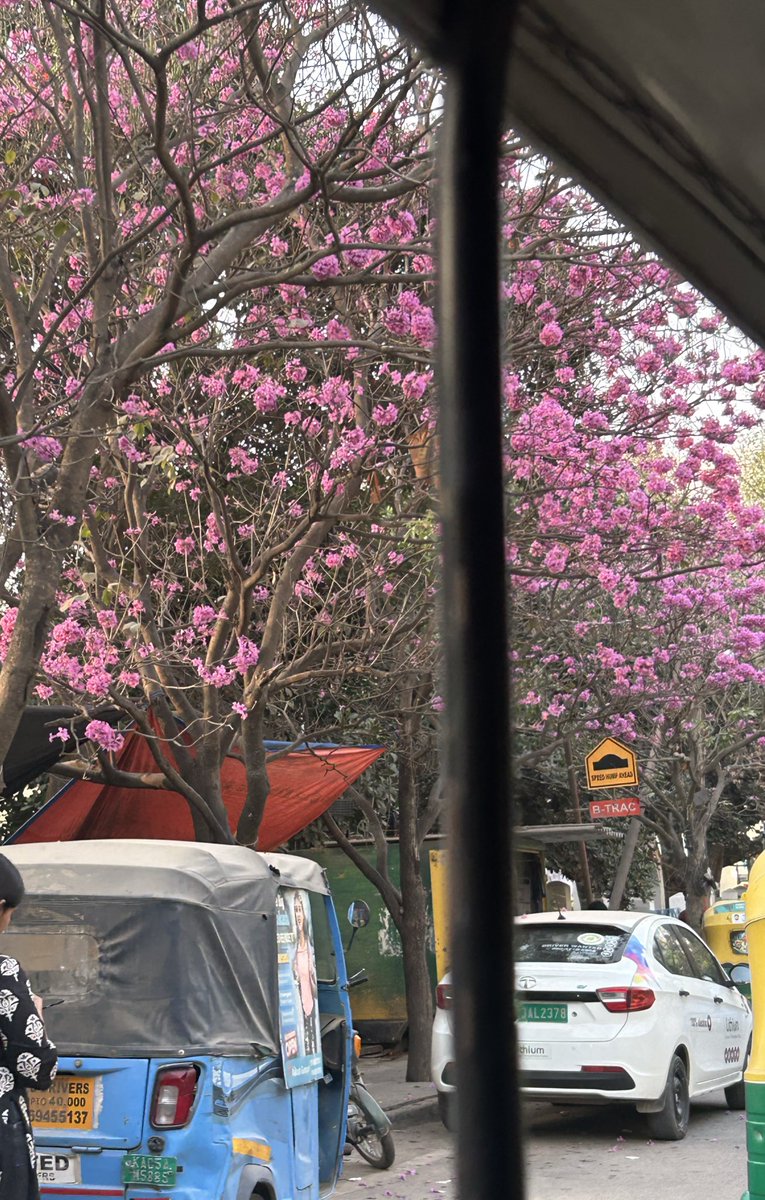 thevedpathak's tweet photo. Bangalore adoring me again https://t.co/jcIw8MHOGG