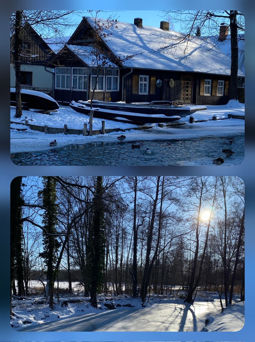 reinaldhille's tweet photo. Spreewald: unsere schöne Heimat https://t.co/198omF6dV4