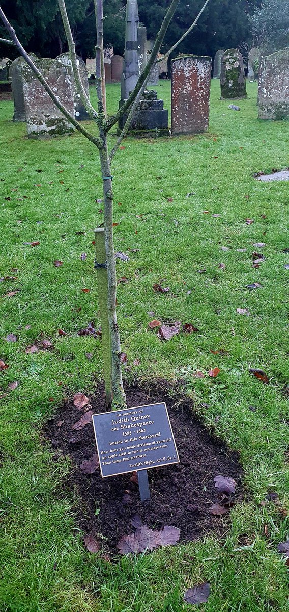 Melody Mason 🧡 tweet media