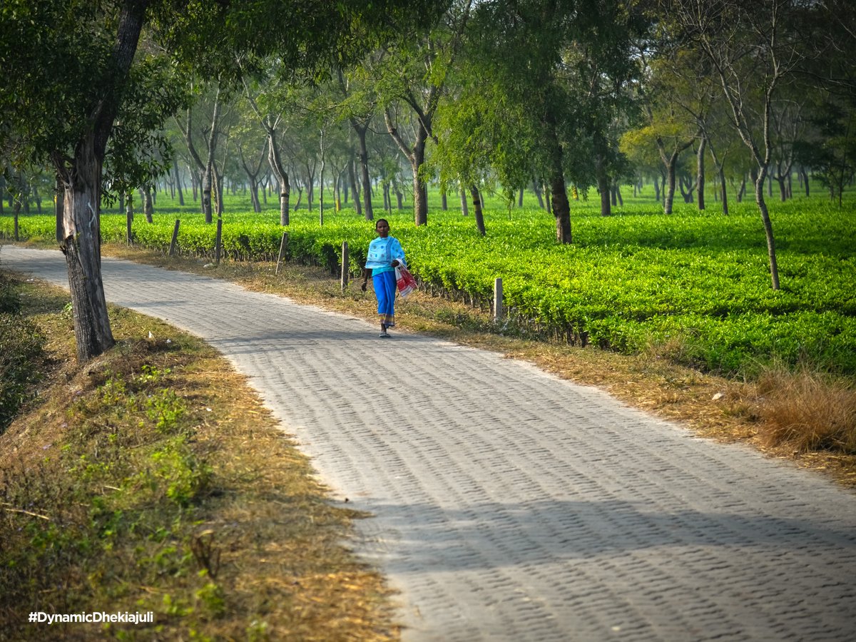 Ashok Singhal tweet media