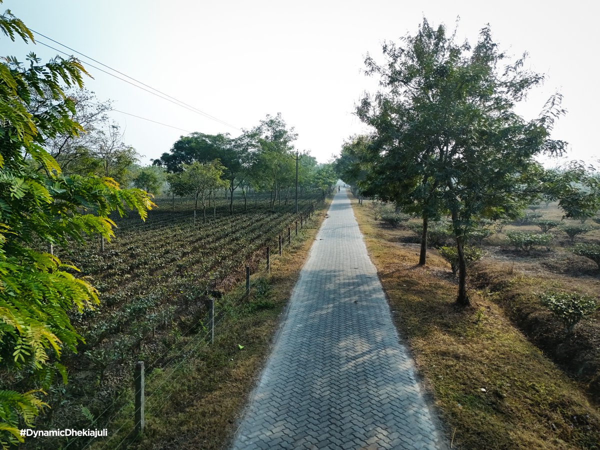 Ashok Singhal tweet media