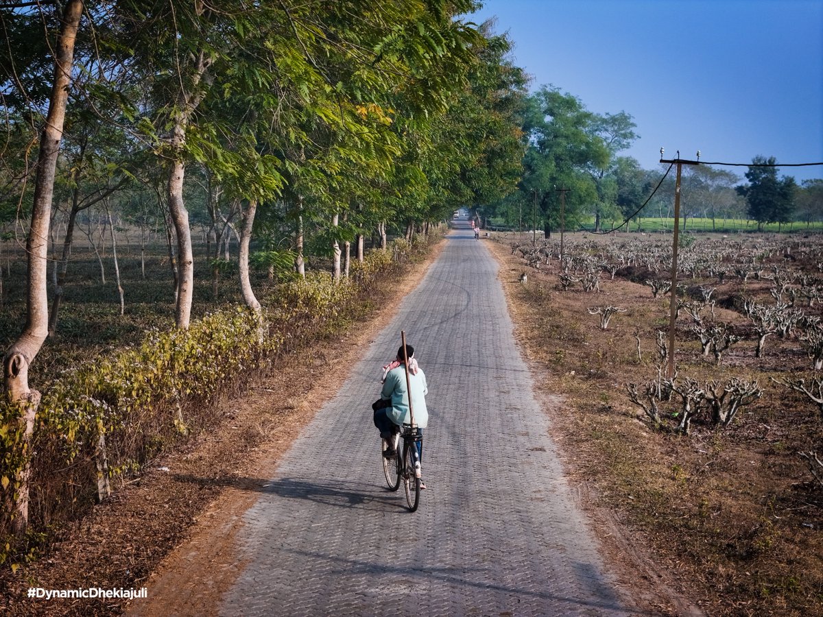 Ashok Singhal tweet media