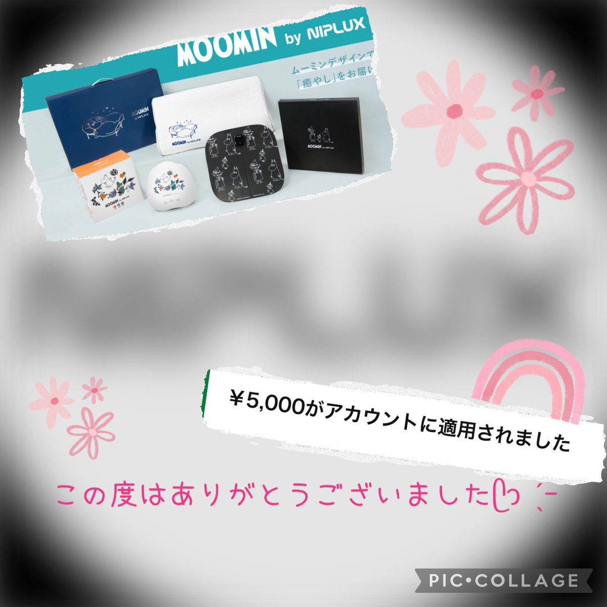 よしみん🌱 (@yosimi314719319) / Posts / X