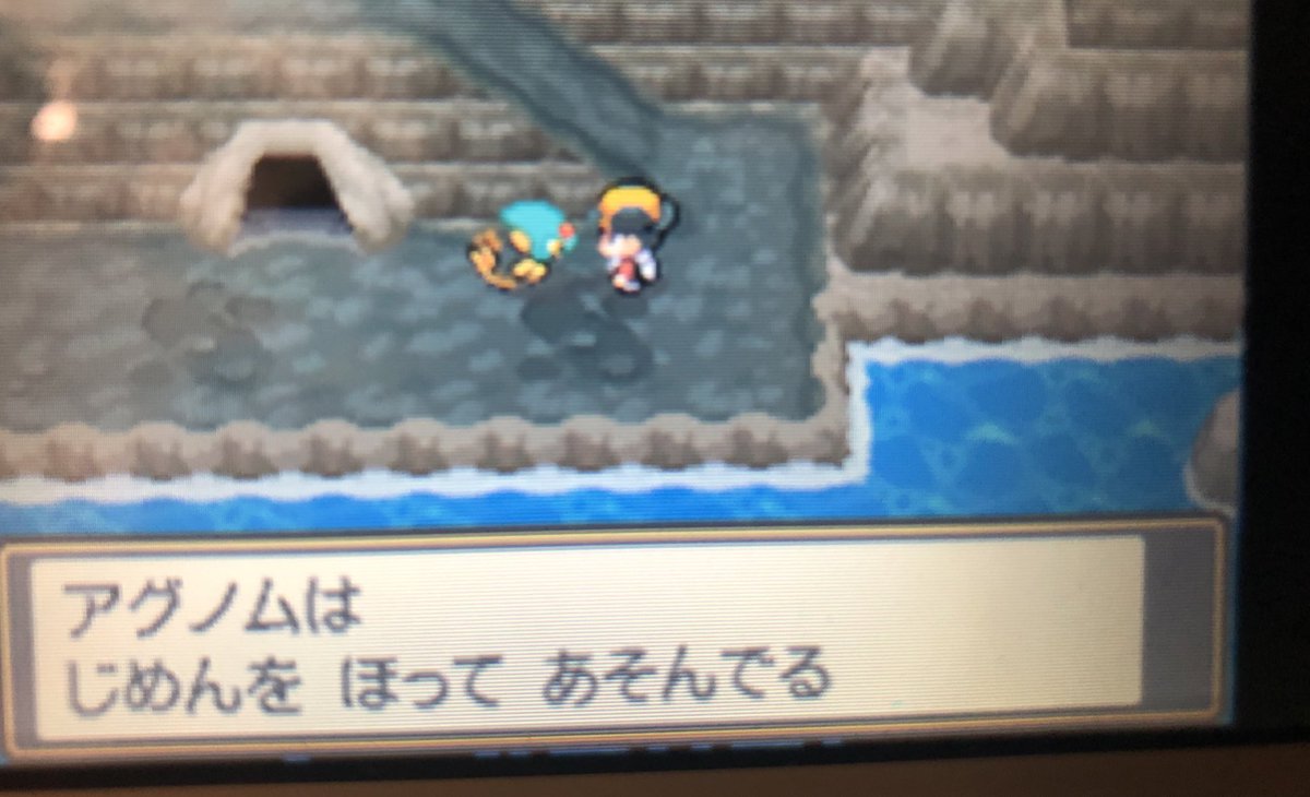 Ragia5457's tweet photo. ※伝説のポケモンです https://t.co/RxSfgZLgME