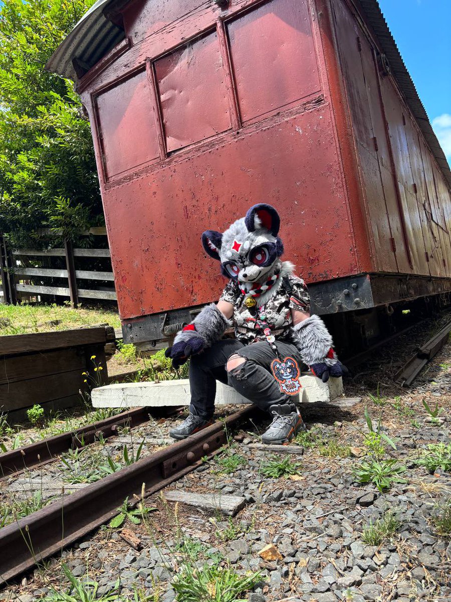 Might be road kill when you see me next X3
(trains wherent running due to total fire ban i was completely safe)