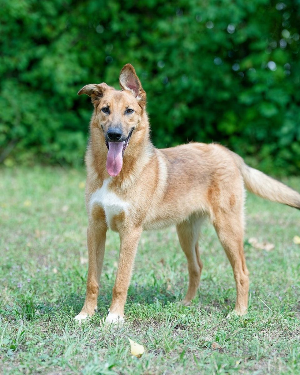 SPA de Lyon tweet media