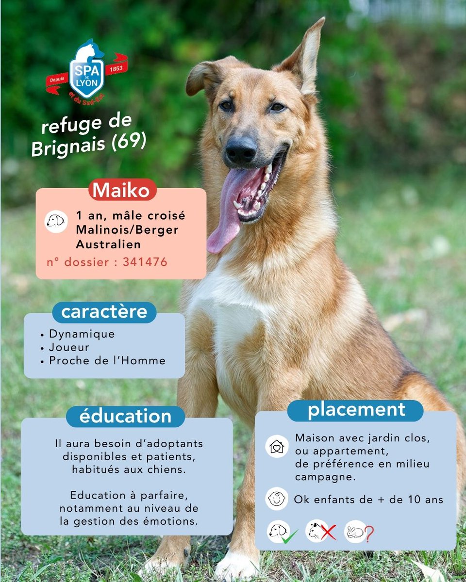 SPA de Lyon tweet media