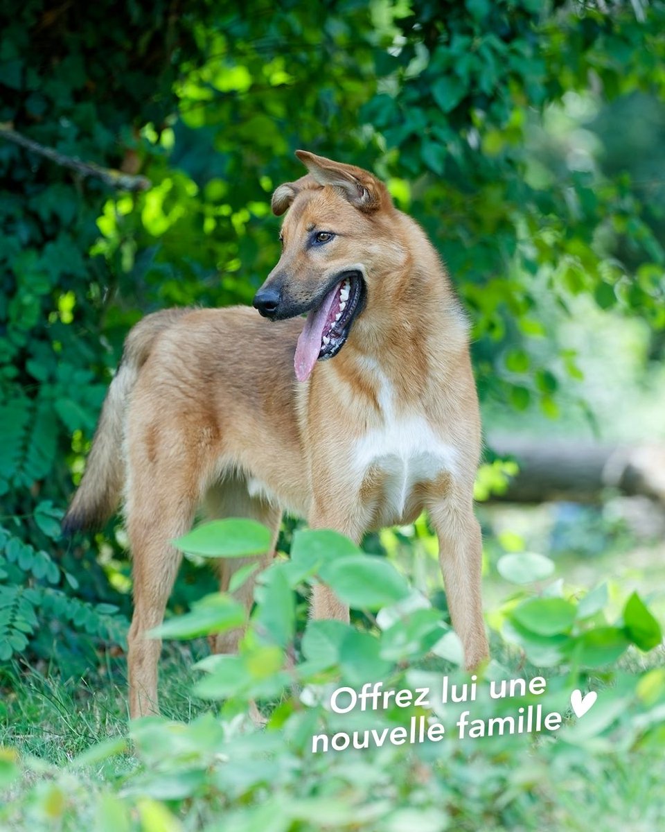 SPA de Lyon tweet media