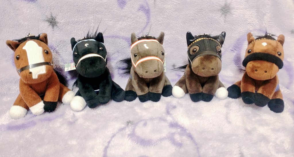 アイドルホース