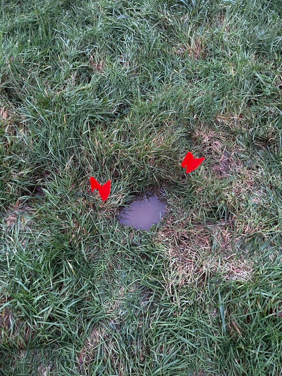 Ground and Water Ltd tweet media