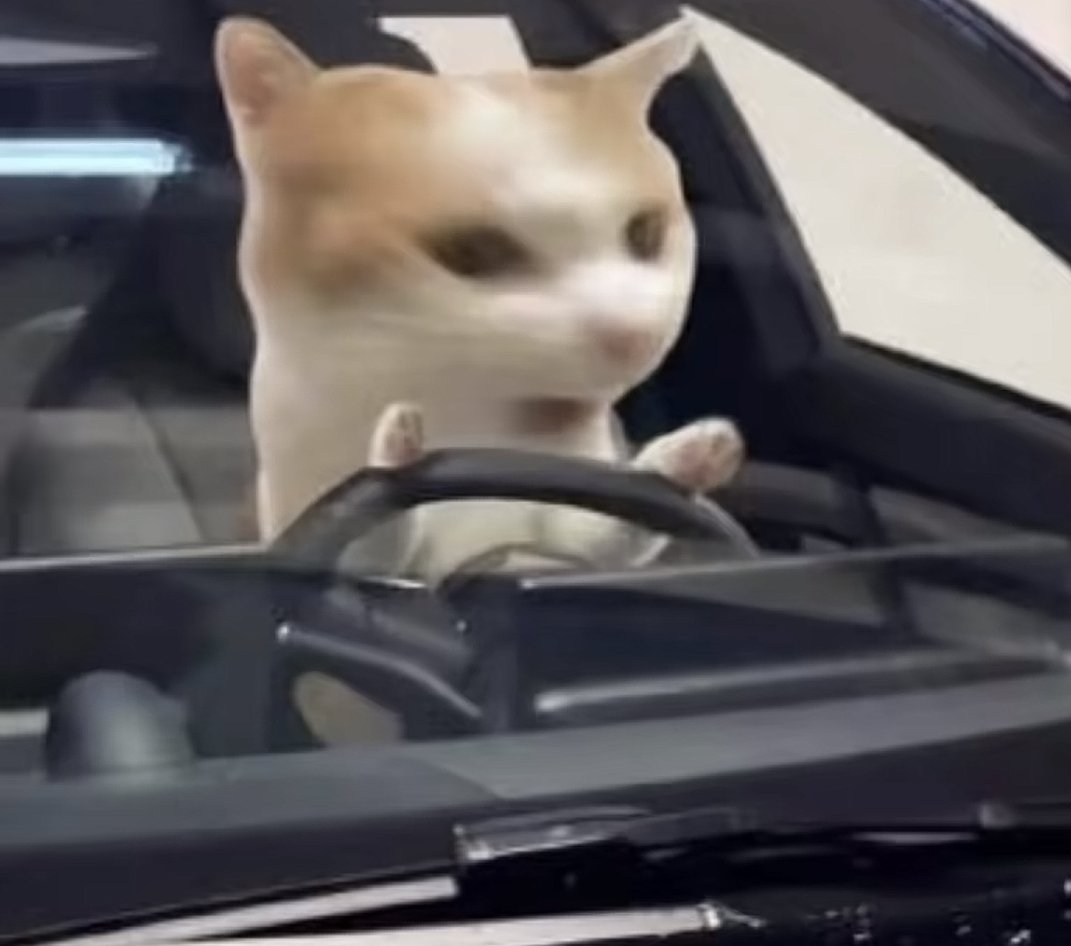 dustt (🤝) tweet media