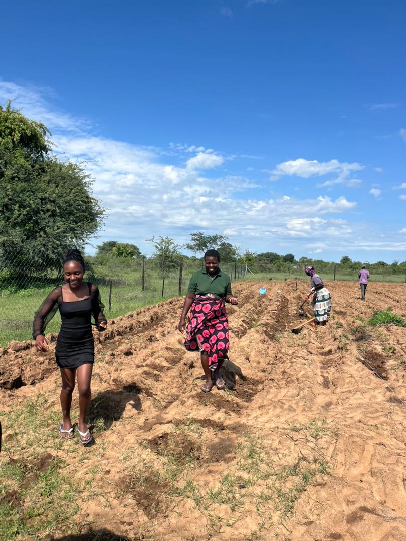 With the rains in November and December 2025, ADSWAC farmers in Angola and Namibia planted and showed their resilience against climate change.  

🤝 Supported by Sahara and Sahel Observatory – OSS and the #AdaptationFund, the project drives sustainable, inclusive development.