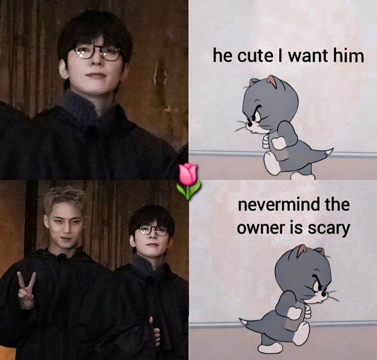 I don't think I can kidnap that cute cat bc he gives the dog full ownership 😏