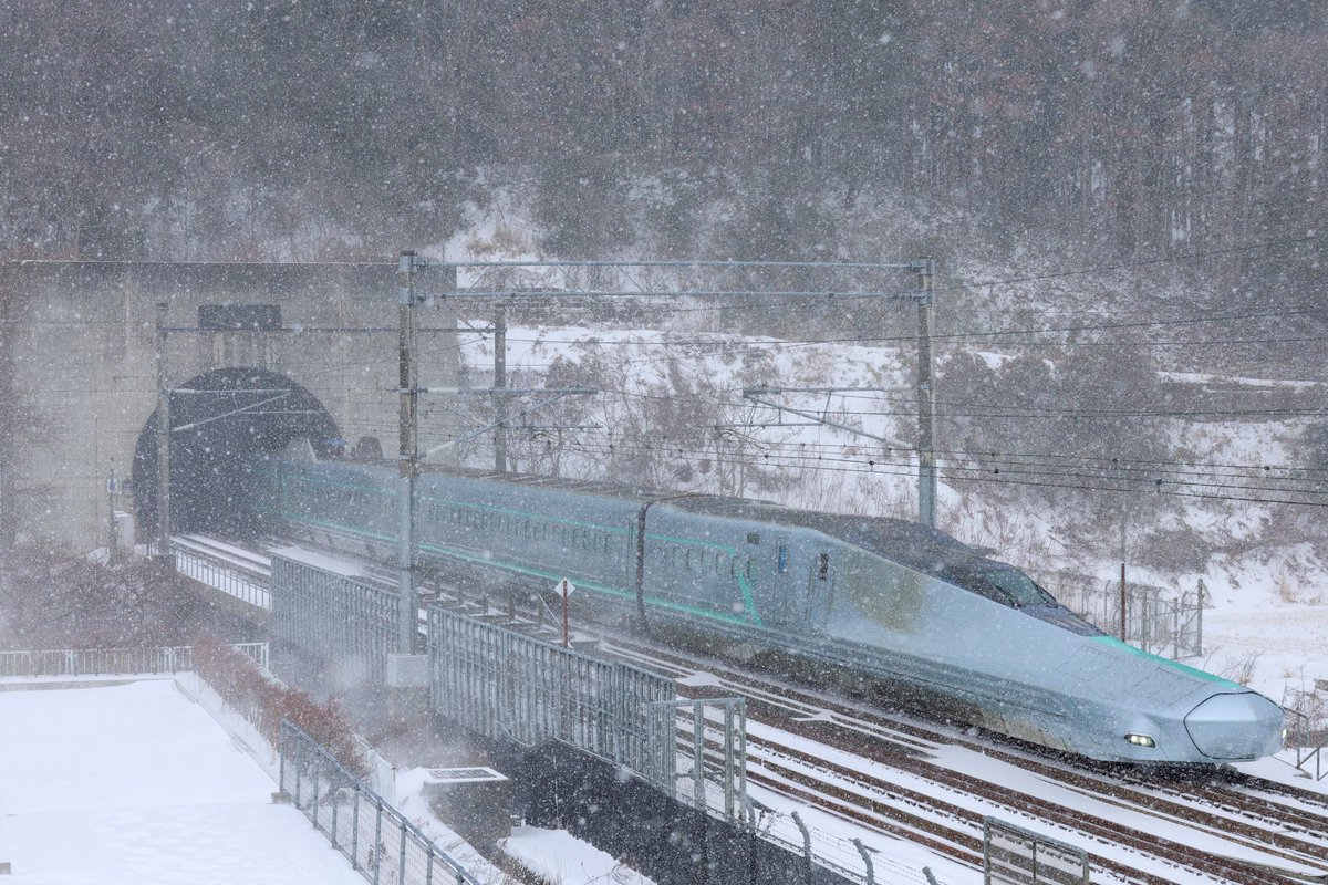 やまくぼ (@masato246saku) / Posts / X