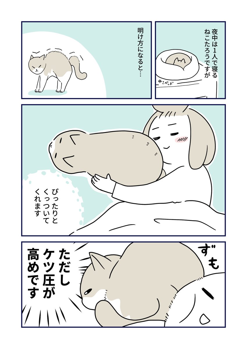 (2/2) 