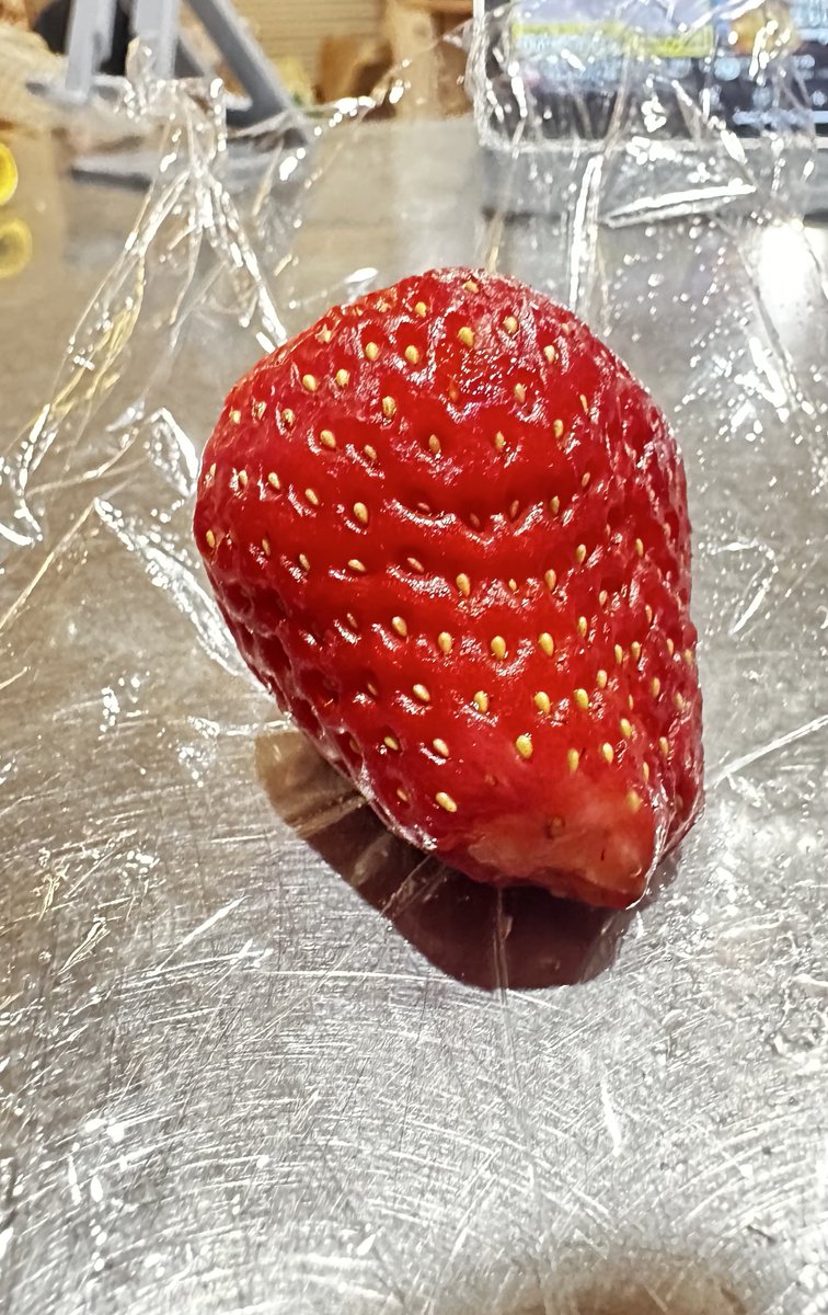 まぁマジレスすると欲張ったパックの苺食べきれなかった上に、一口齧ってるんですけどねw