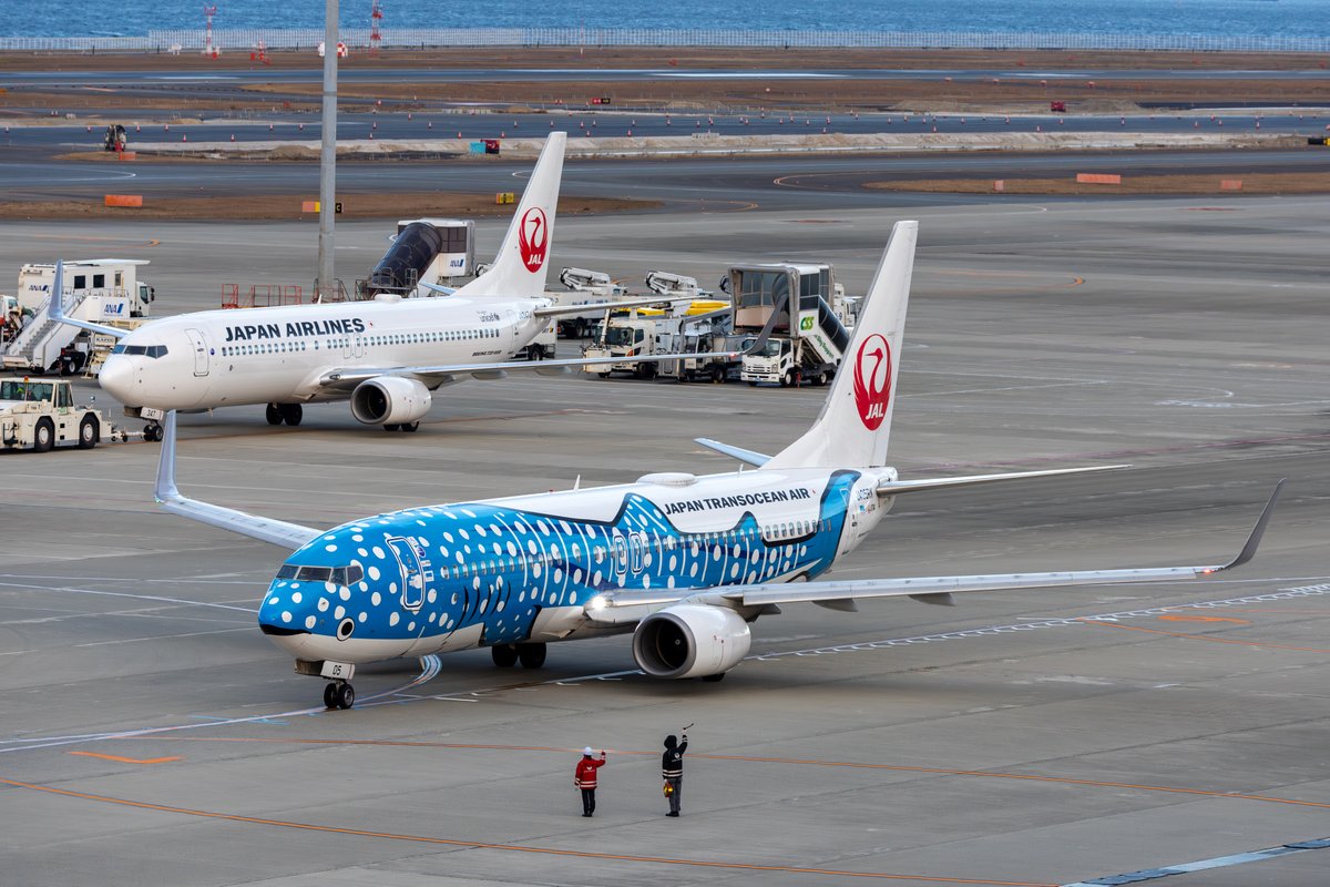 JAPAN AIRLINES【JAL】 (@JAL_Official_jp) / Posts and Replies / X