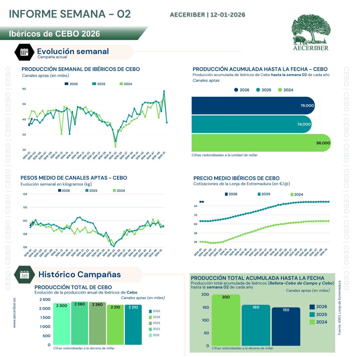 AECERIBER tweet media