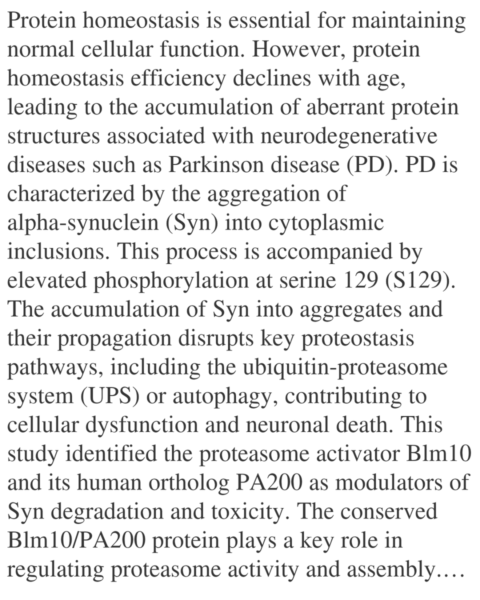 WFC's tweet image. Blm10/PA200-activated 20S proteasomes promote α-synuclein degradation and bypass proteasome inhibition in Parkinson disease models

Ali, T. T., Zhornyak, A., Merghani, M., Buschenlange, Z., Sakata, E., Outeiro, T. F., Popova, B., Braus, G. H.
biorxiv.org/content/10.648…