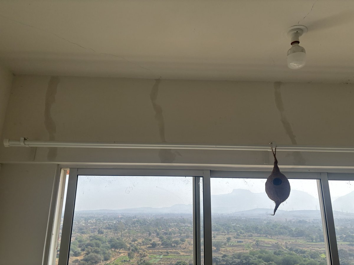 Rohit Kumar tweet media