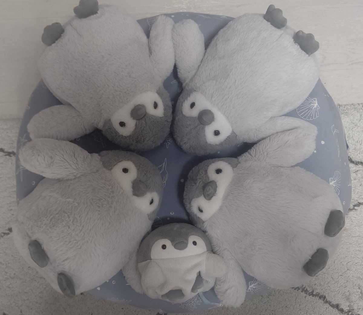 ペンギンになりたい🐧