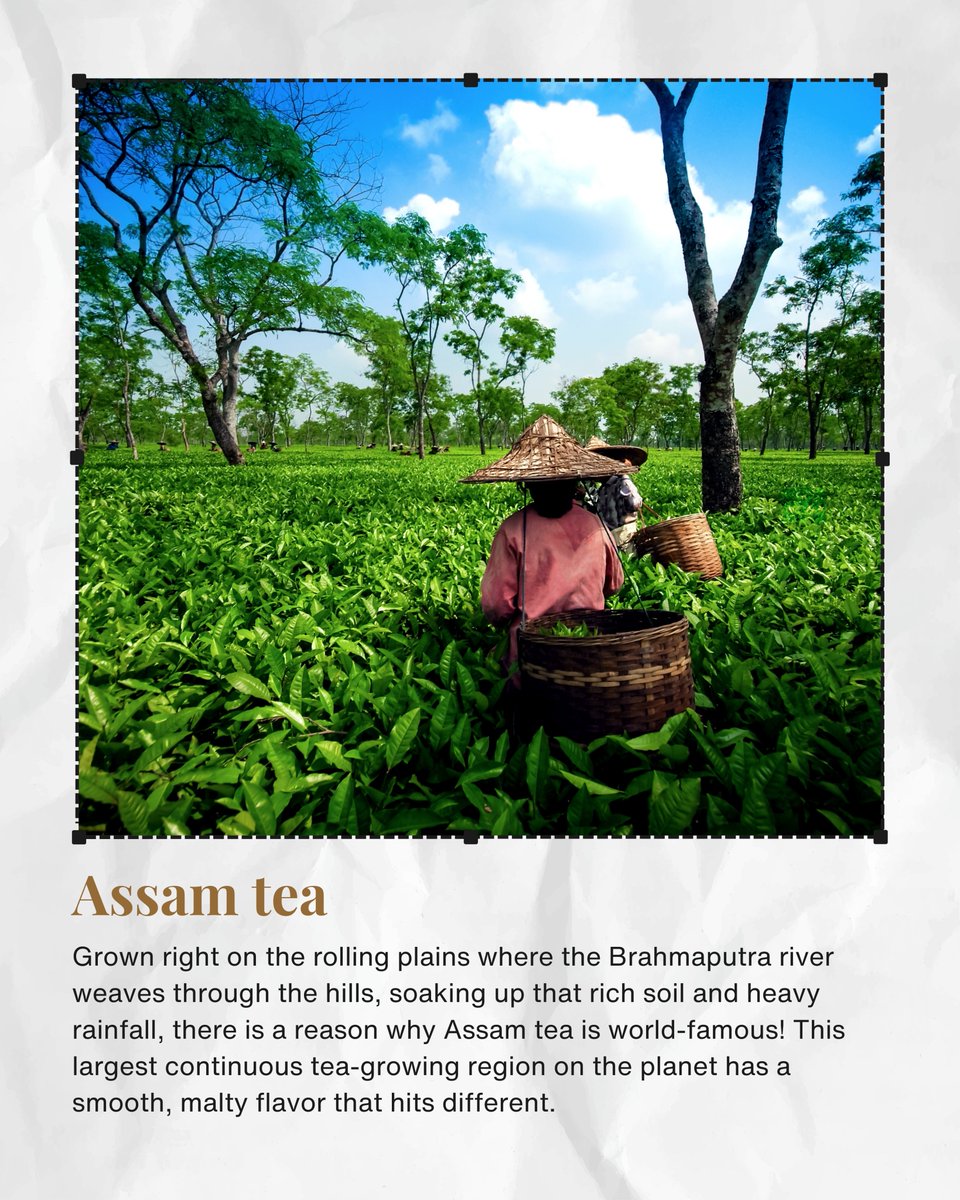IndPerspectives's tweet photo. Morning beginnings. Afternoon pauses. Evening reflections; various sips at different hours, yet all rooted in the same timeless ritual of togetherness.
#IndiaPerspectives #IndianTea #FromLeafToCup #TeaHeritage #ChaiCulture https://t.co/XCDWoP2y5S