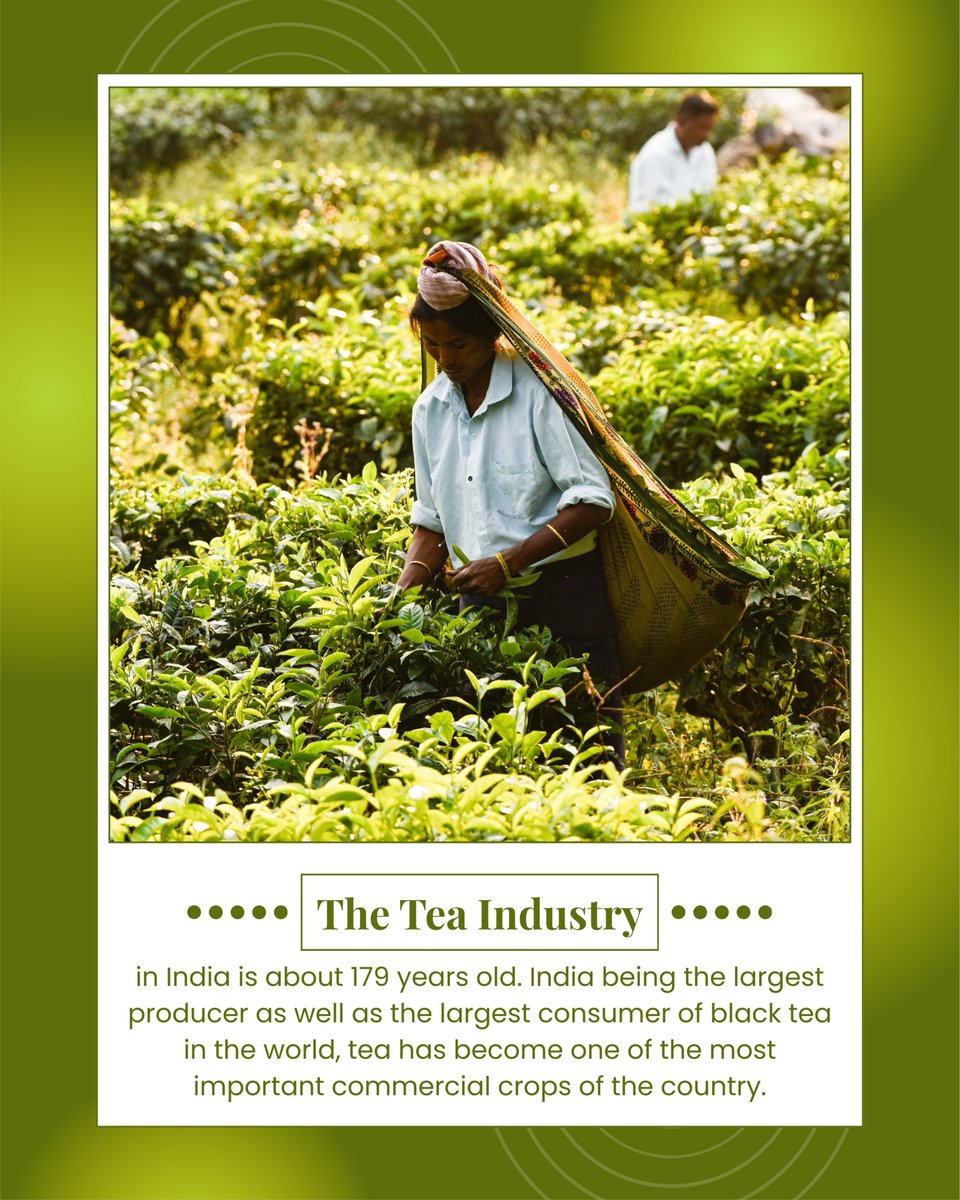 IndPerspectives's tweet photo. Morning beginnings. Afternoon pauses. Evening reflections; various sips at different hours, yet all rooted in the same timeless ritual of togetherness.
#IndiaPerspectives #IndianTea #FromLeafToCup #TeaHeritage #ChaiCulture https://t.co/XCDWoP2y5S
