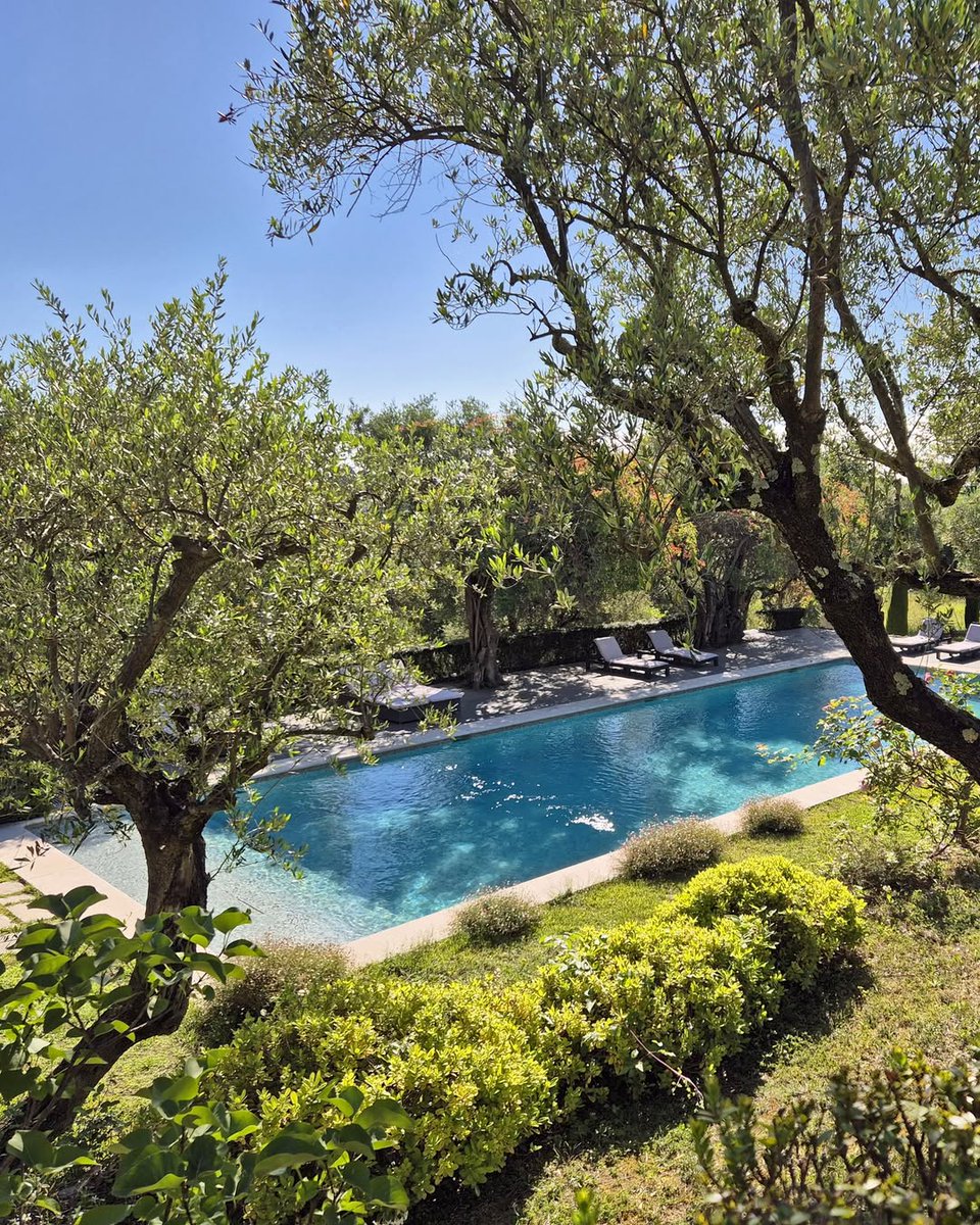 𝔾𝕒𝕣𝕕𝕖𝕟𝕤 & 𝕋𝕖𝕣𝕣𝕒𝕔𝕖𝕤 tweet media