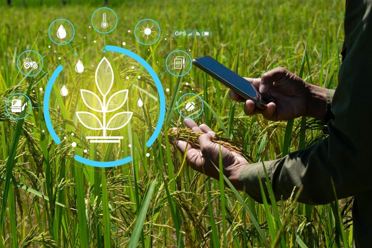 India plans to raise the Digital Agriculture Mission budget to ₹7,500 cr in the next Union Budget, up from ₹2,817 cr, to scale AI &amp; digital tech in farming, improving productivity and reducing losses.

<a href="/AgriGoI/">Agriculture INDIA</a> 

#AI #DigitalAgriculture